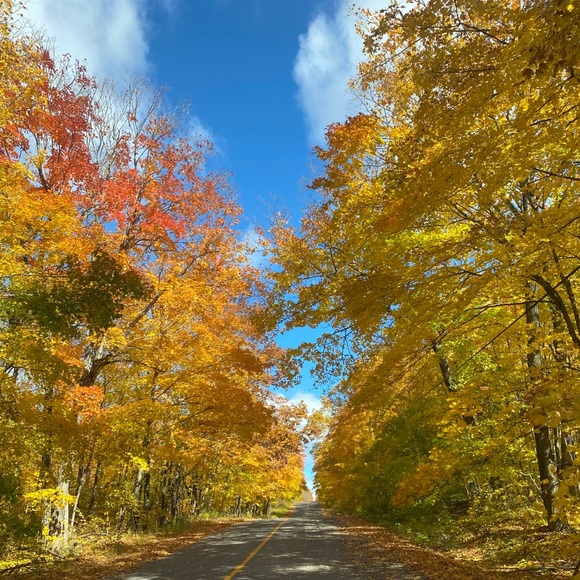 Meet me - Picture 1 of 1